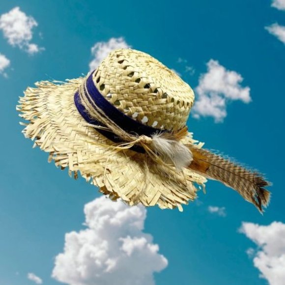 Tan Straw Raw Edge Sun Hat with Feather Brim OS